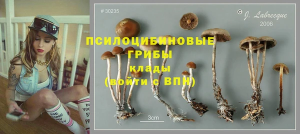 гидропоника Ельня