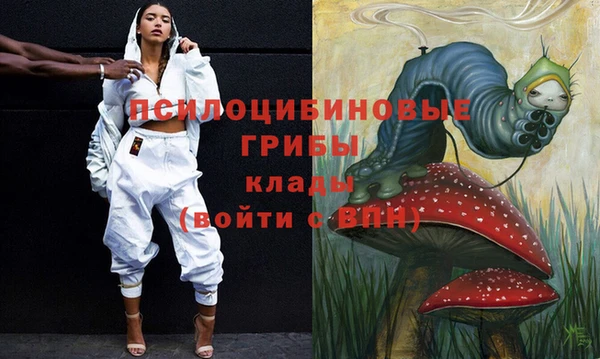 гидропоника Ельня