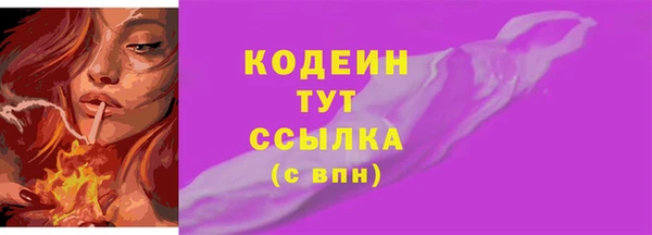соль ск Елизово