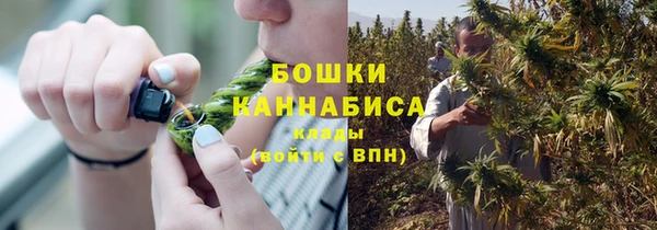 бошки Елабуга