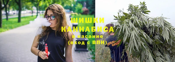 бошки Елабуга